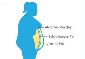 reduce visceral belly fat